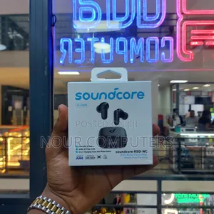 Anker Soundcore R50i Earpods
