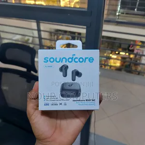 Anker Soundcore R50i Earpods