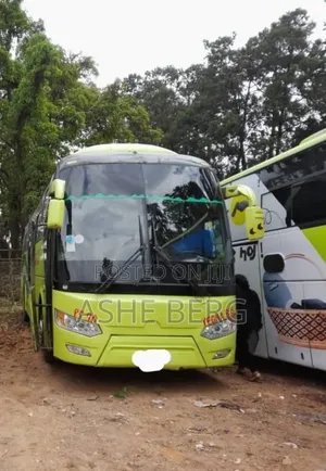 Foton C12 2019 Green