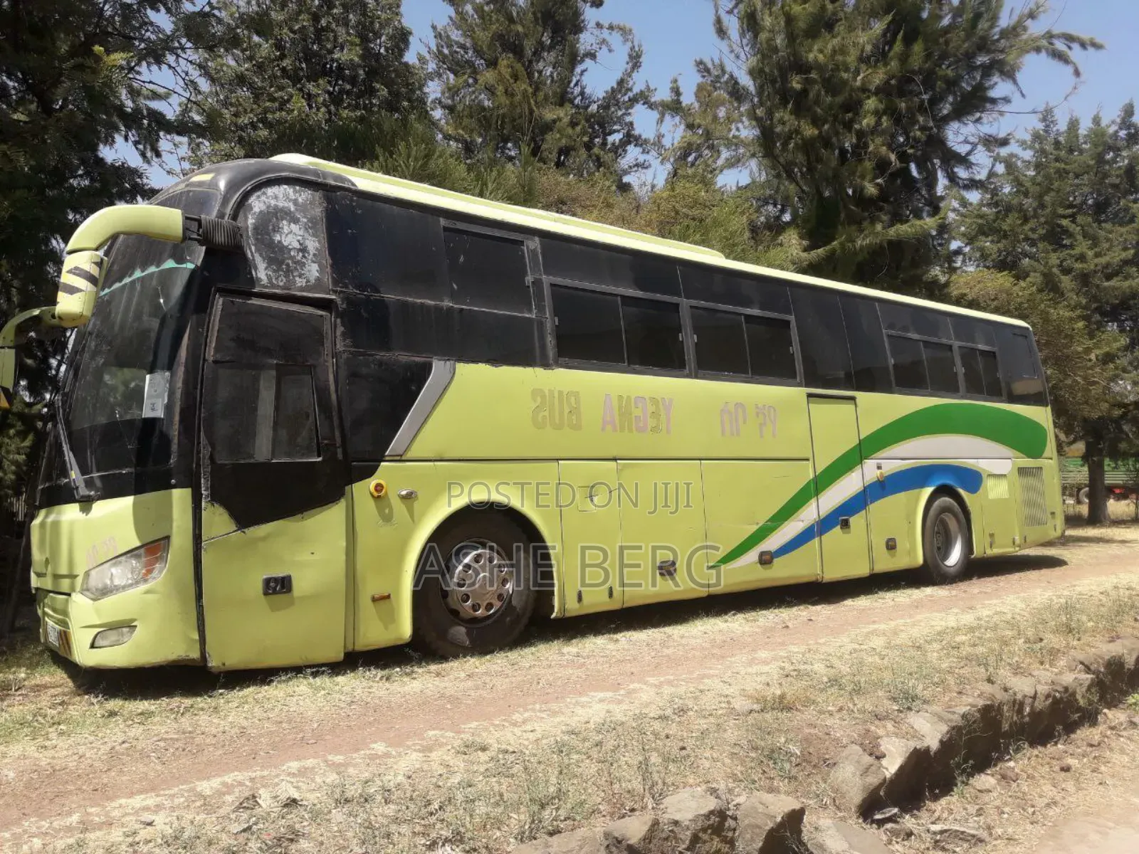 Foton C12 2019 Green