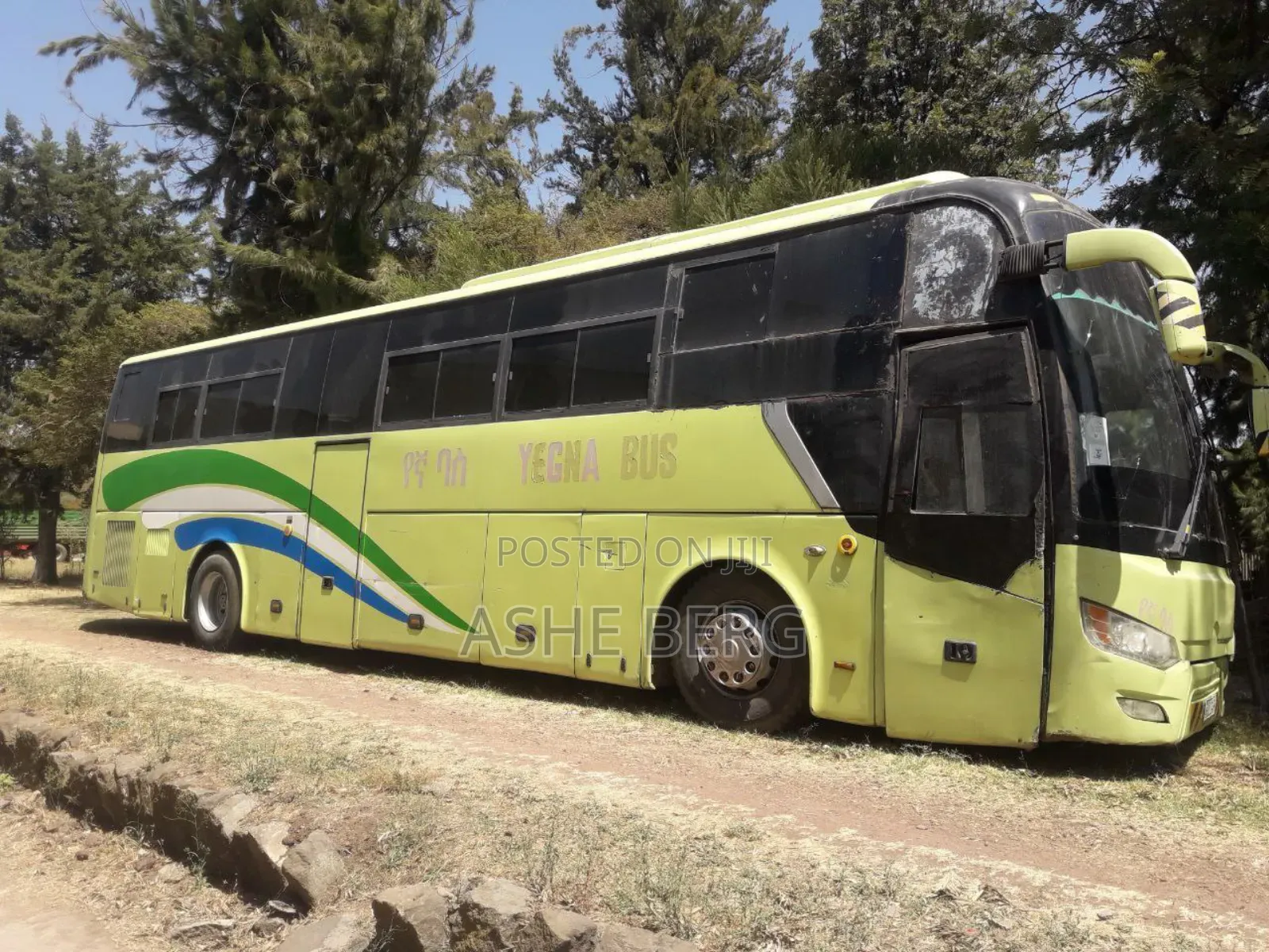 Foton C12 2019 Green