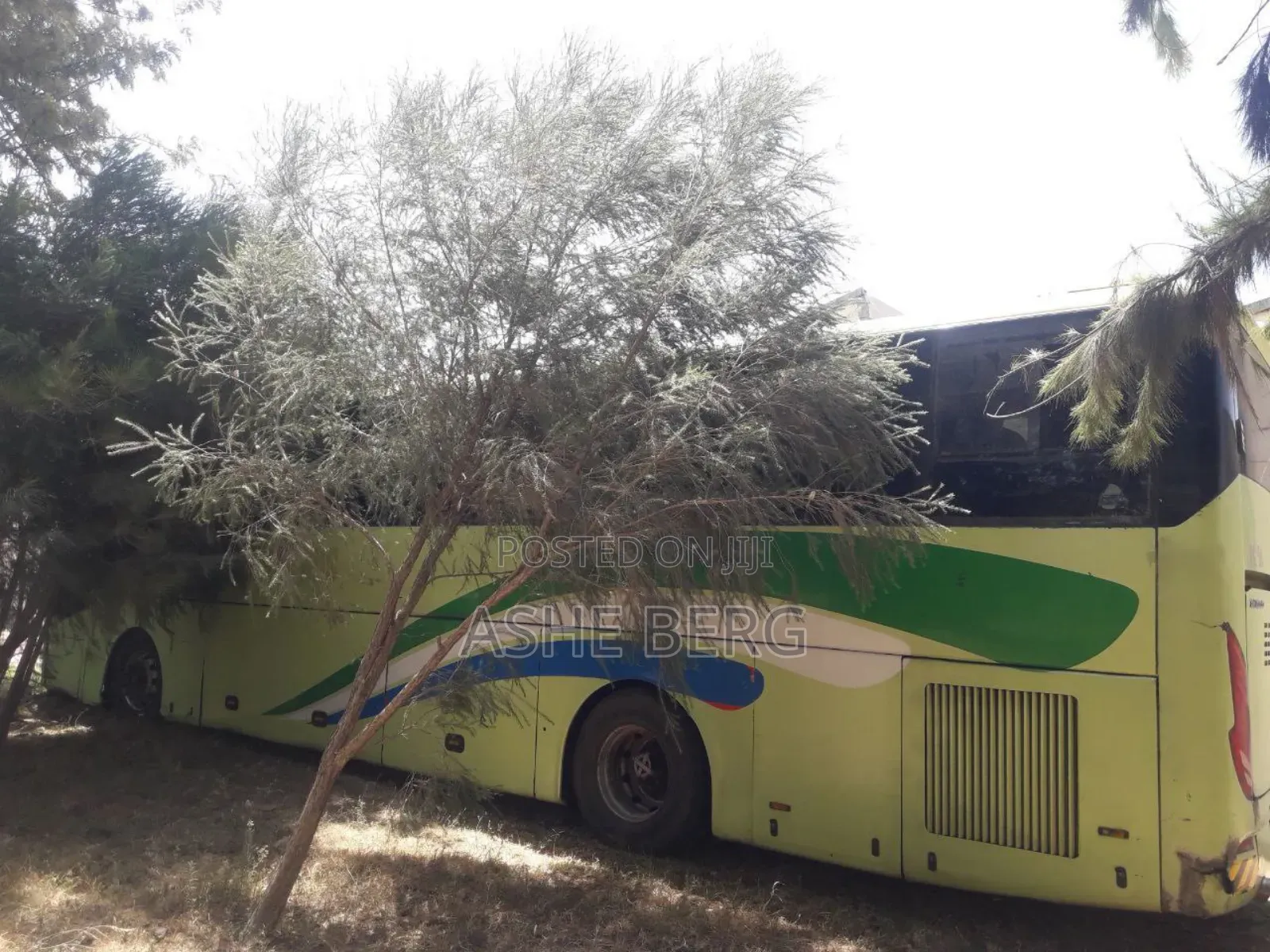 Foton C12 2019 Green