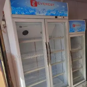 Display Showcases 750litters 2-Door Delivery