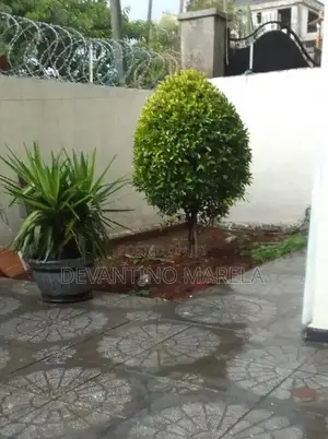 6bdrm House in Oromia-Finfinne for sale