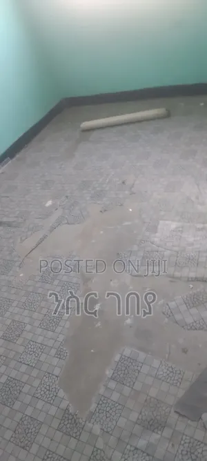 1bdrm Condo in Ayat Tsebel, Yeka for rent