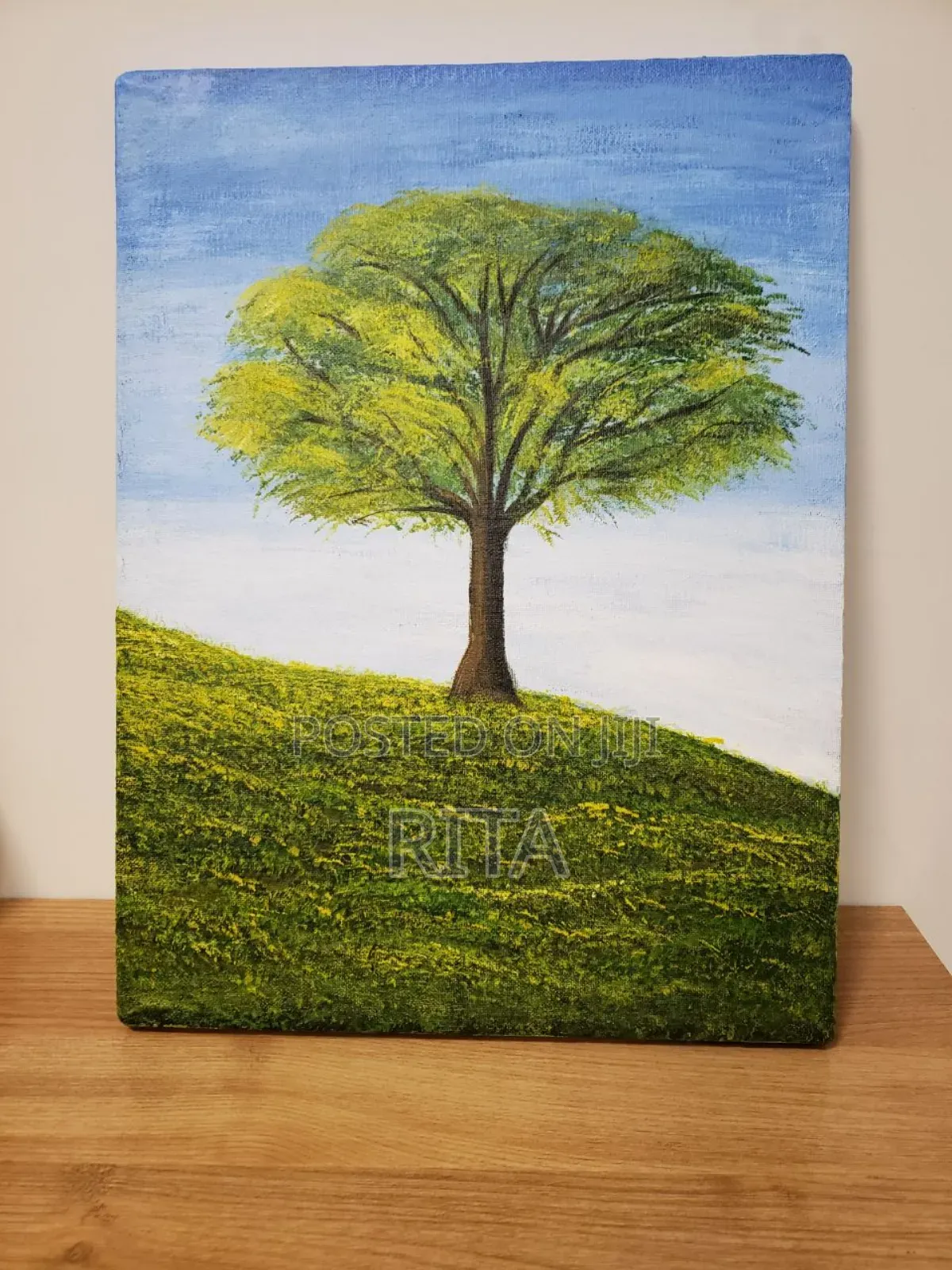 Painting on Canvas 40x30