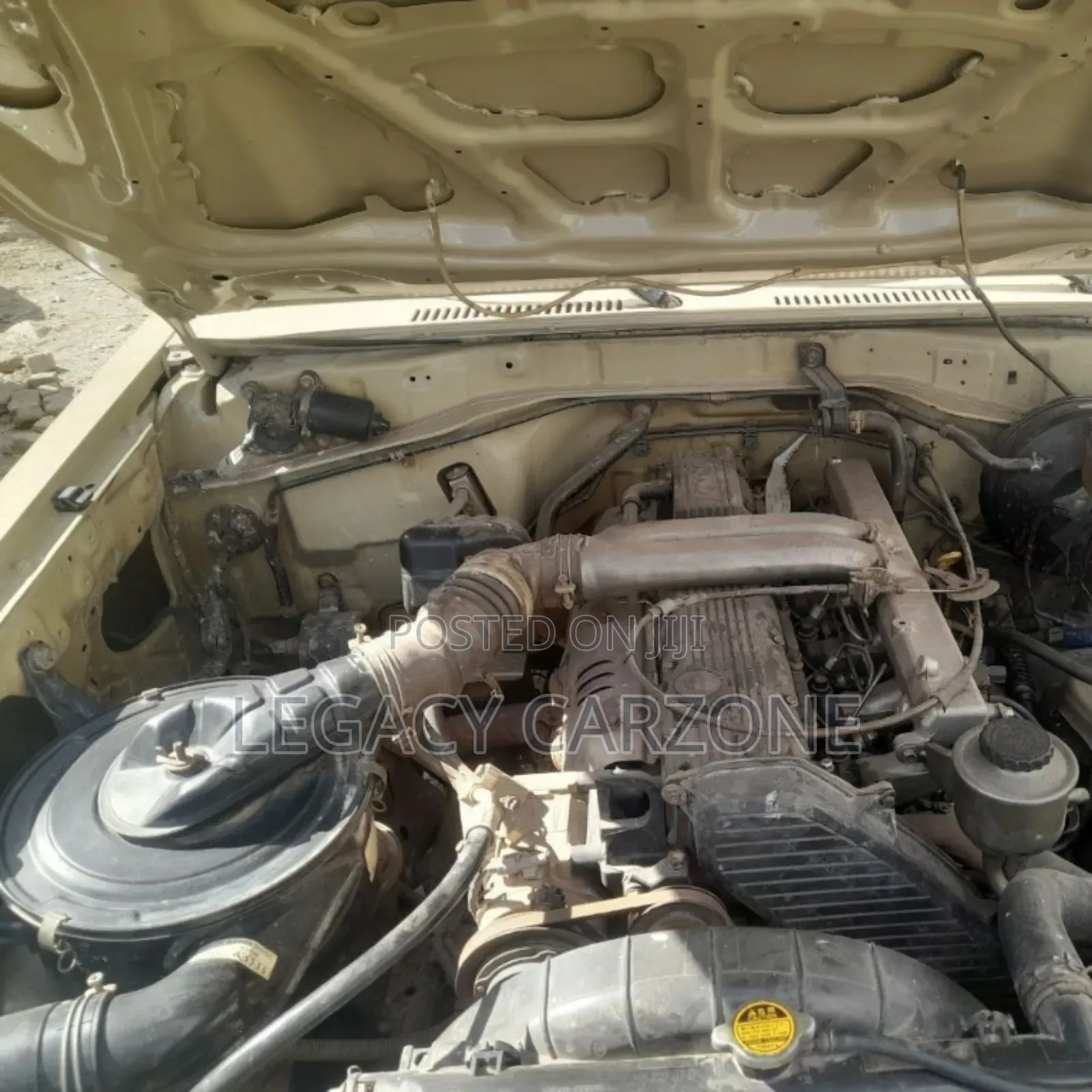 Toyota Land Cruiser 2011 White