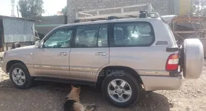 Toyota Land Cruiser 2005 Brown