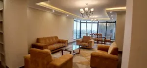 Furnished 2bdrm Apartment in Bole for rent
