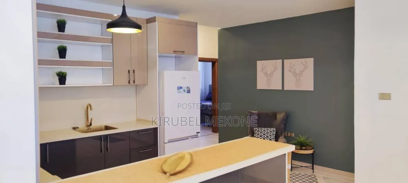 Furnished 4bdrm Apartment in Bole for rent