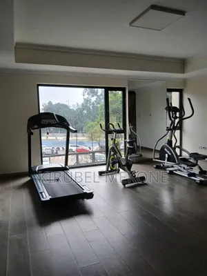 Furnished 3bdrm Penthouse in Bole for rent