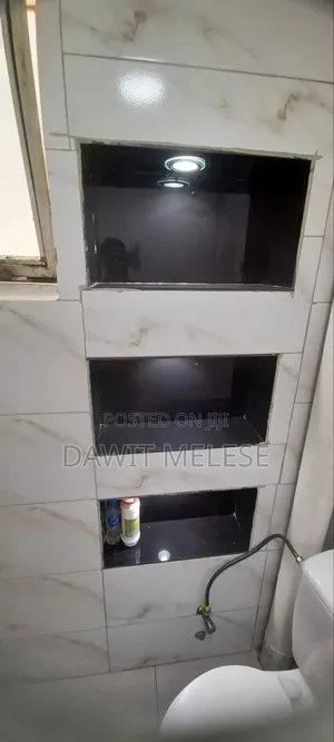 1bdrm Condo in Own, Bole for rent