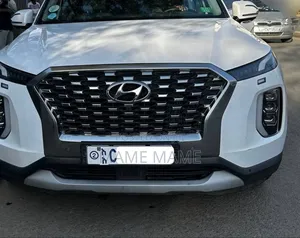 New Hyundai Palisade 2023 White