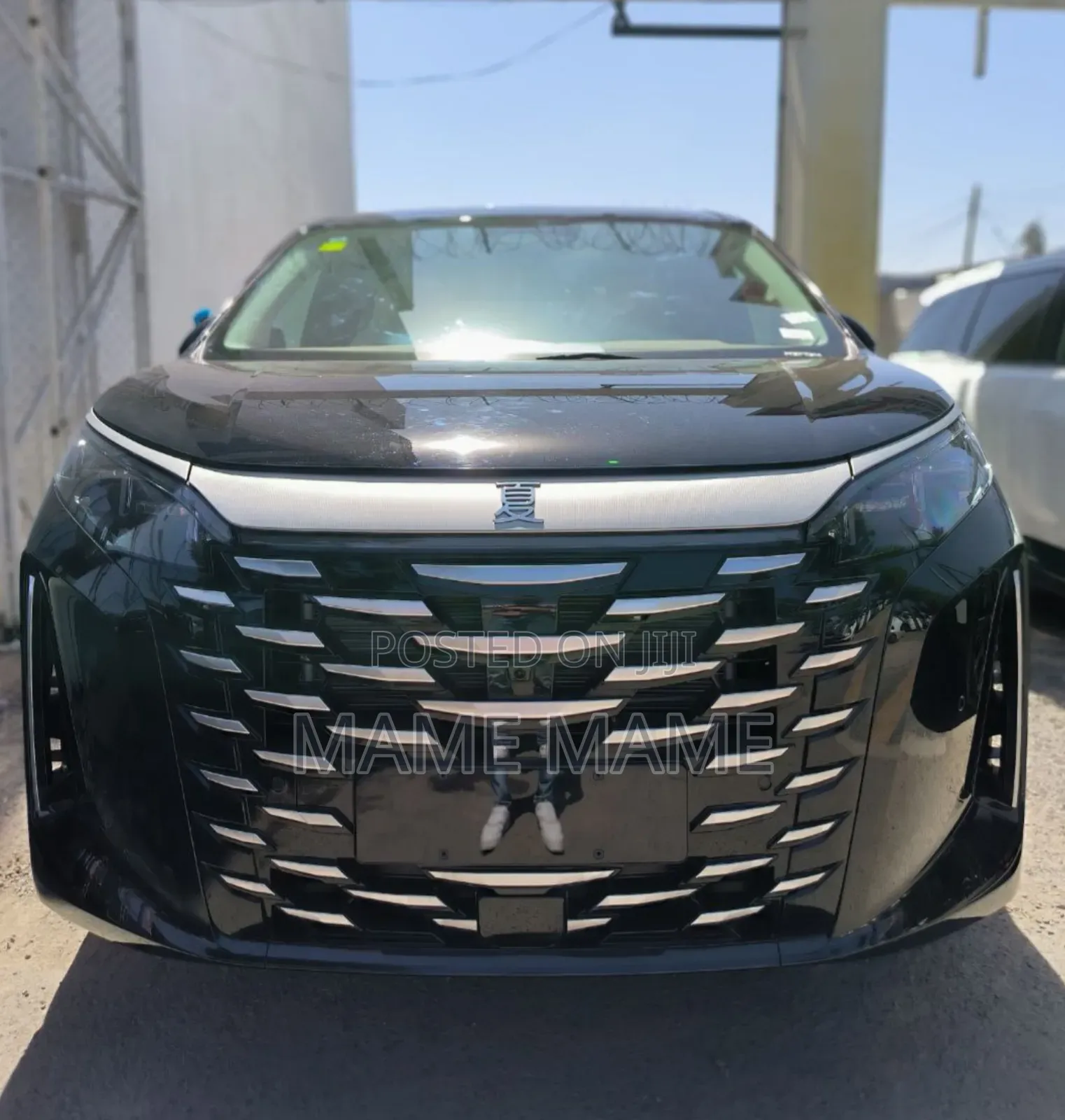 New BYD Xia 2025 Black