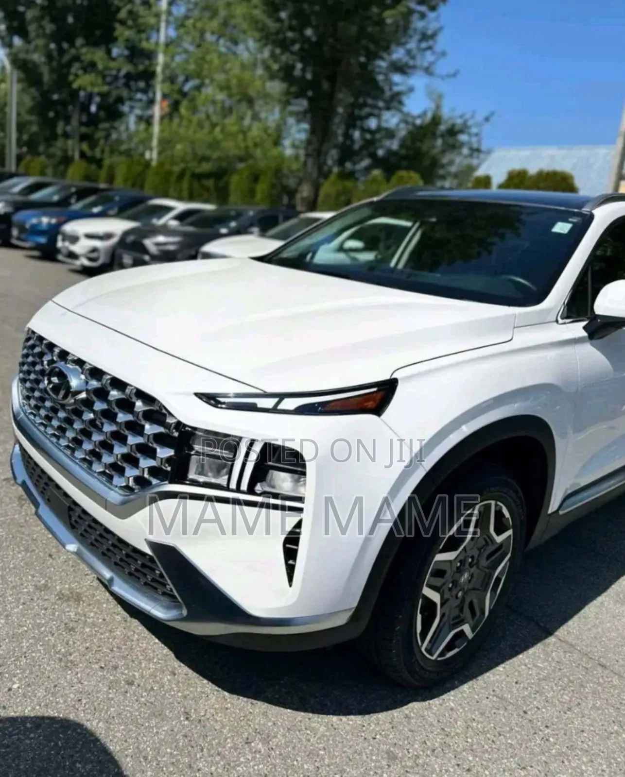 New Hyundai Santa Fe Hybrid 2023 White
