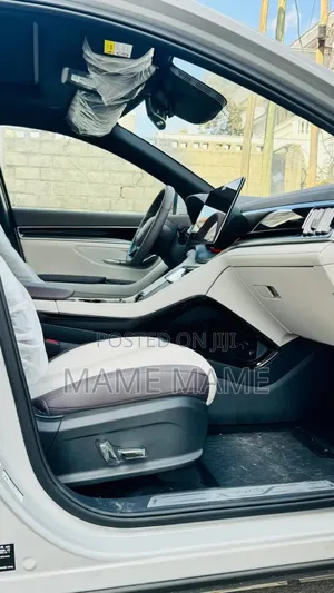 New BYD Song Plus DM-i 2025 Gray