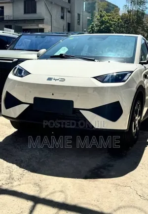 New BYD Seagull 2025 White