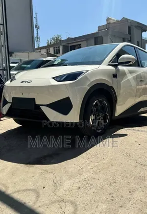 New BYD Seagull 2025 White