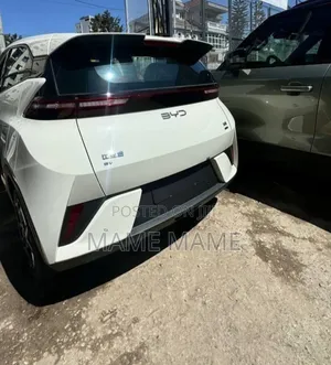 New BYD Seagull 2025 White