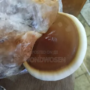 Premium Ganoderma Powder – 100% Organic and Pure