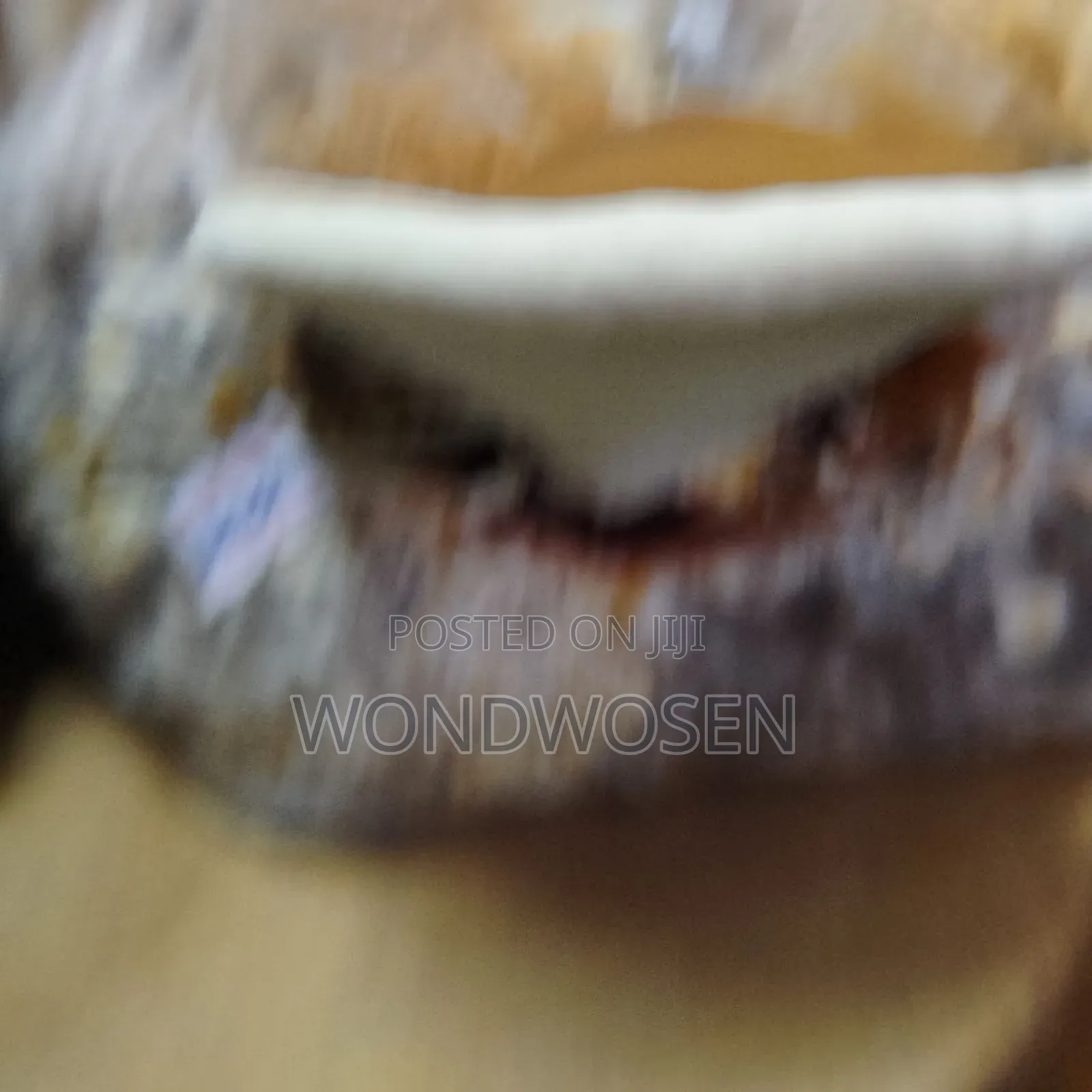 Premium Ganoderma Powder – 100% Organic and Pure