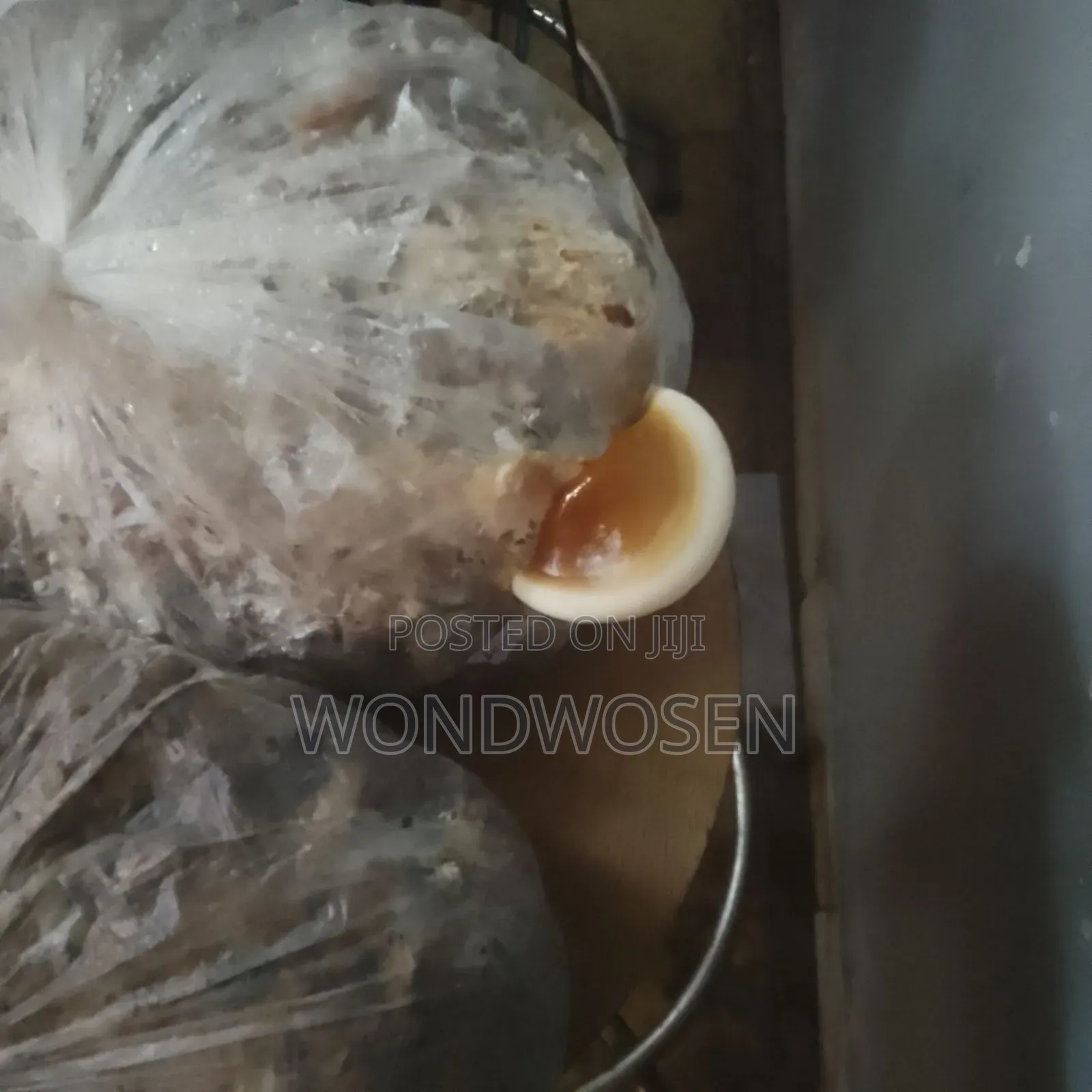 Premium Ganoderma Powder – 100% Organic and Pure