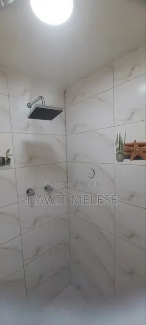 1bdrm Condo in Own, Bole for rent