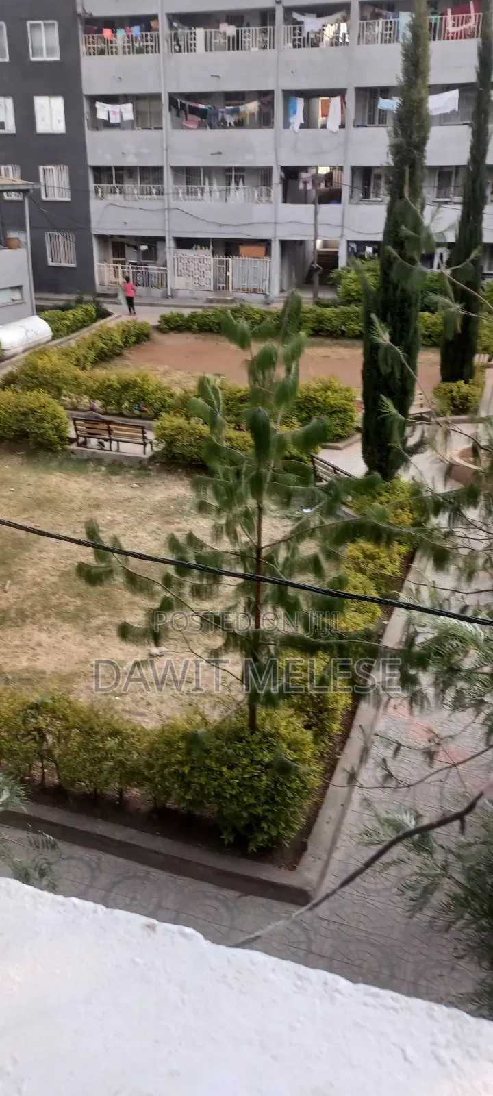 1bdrm Condo in Own, Bole for rent