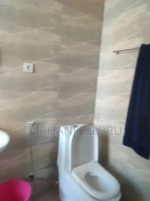 Furnished 3bdrm Apartment in Luxury Fernished, Kirkos for rent