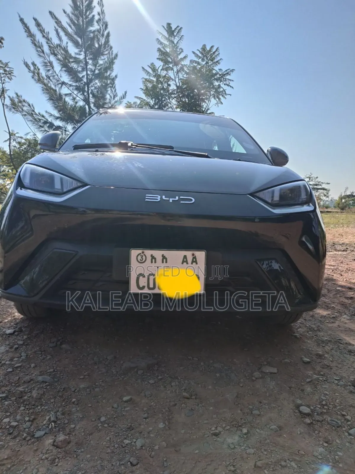 BYD Seagull 2025 Black