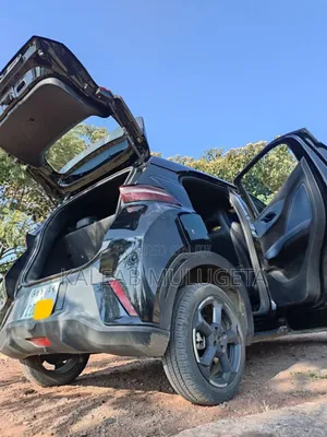 BYD Seagull 2025 Black