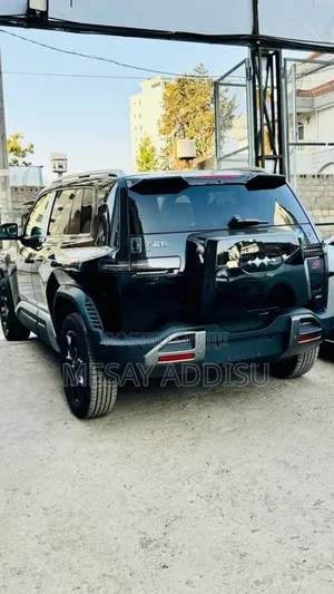 New BYD Leopard 3 2025 Black