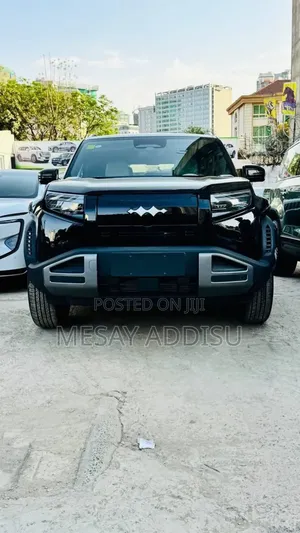 New BYD Leopard 3 2025 Black