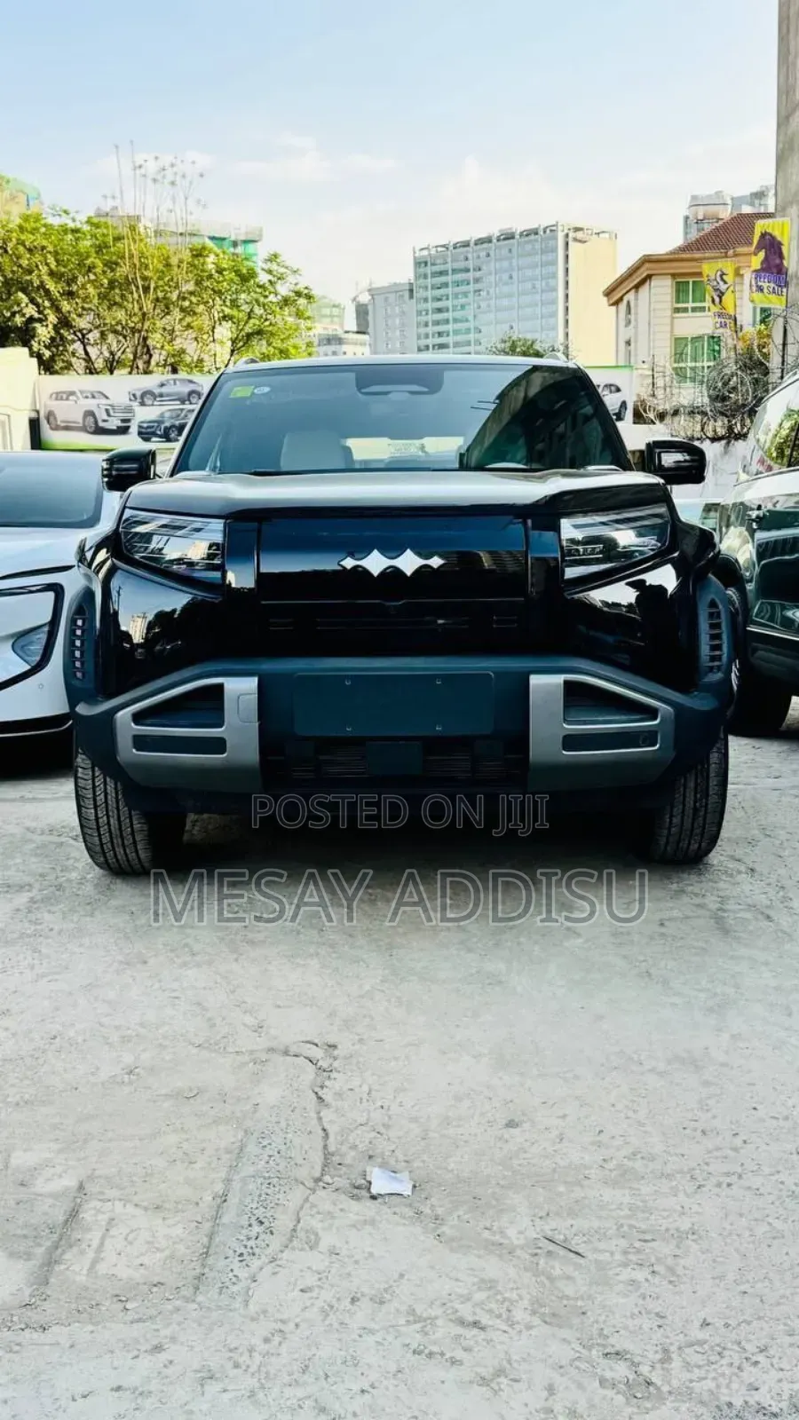 New BYD Leopard 3 2025 Black