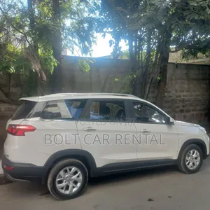 የሚከራዩ Wulinghongguang S3 መኪኖች አሉን ይደውሉልን!