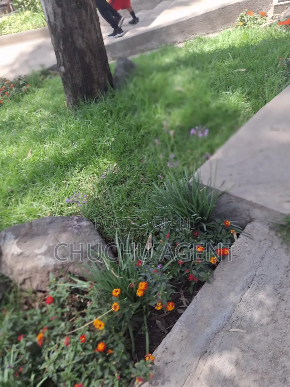 3bdrm Villa in Bole for sale