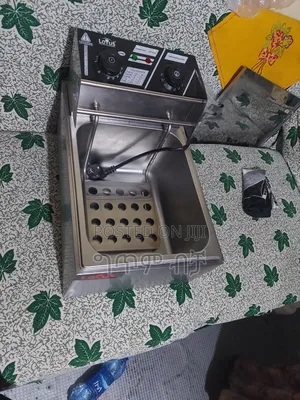 Lotus Electric Chips Deep Fry