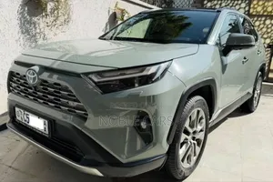 Toyota RAV4 2023 Gray
