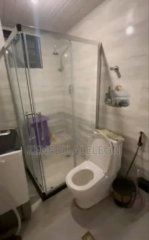 Furnished 1bdrm Apartment in Tsehay Real State, Bole for sale