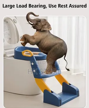 3-in-1 Kids Potty Training Ladder