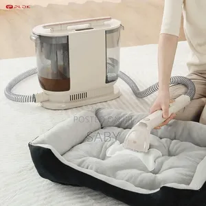 Light Sofa and Carpet Spot Cleaner