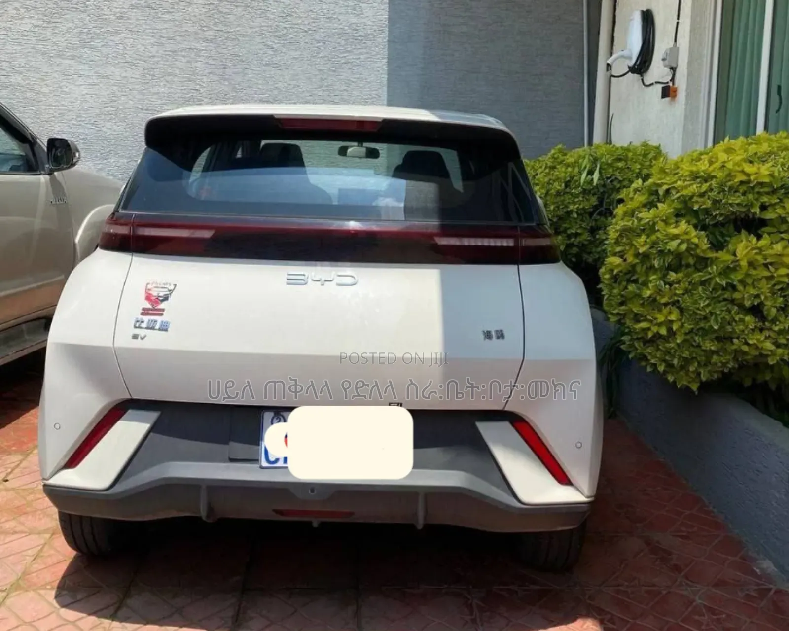 BYD Seagull 2025 White