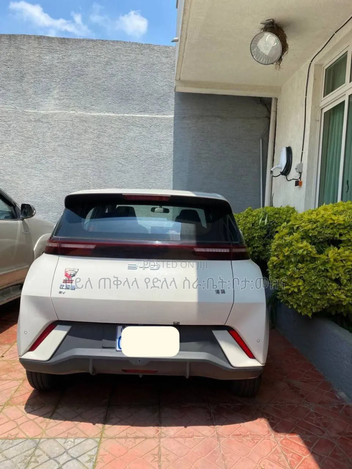 BYD Seagull 2025 White