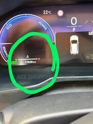 Toyota RAV4 2024 Gray