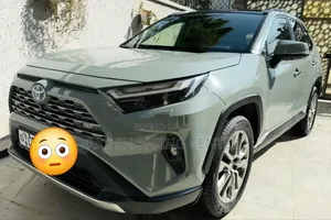 Toyota RAV4 2024 Gray