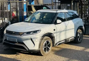 BYD Yuan Up 2025 Off white