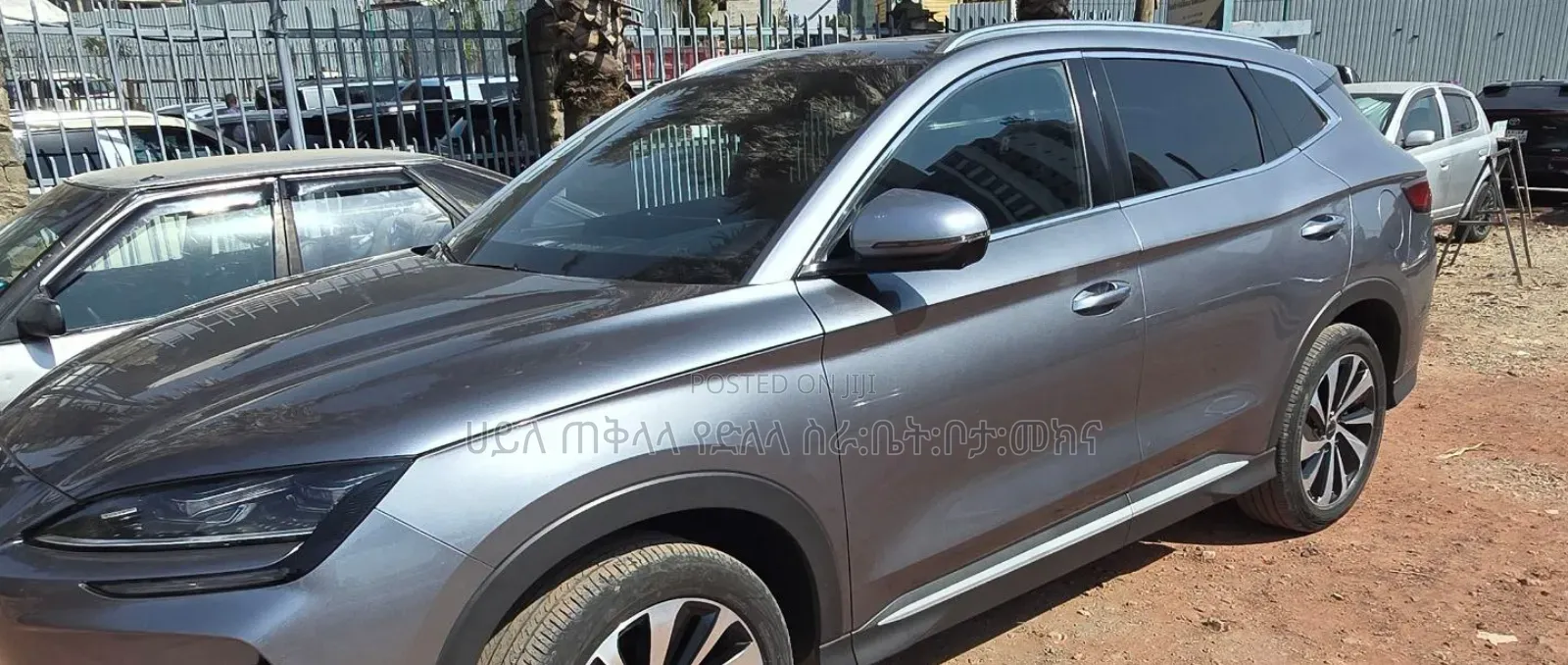 BYD Song Plus 2024 Teal