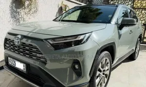Toyota RAV4 2024 Gray