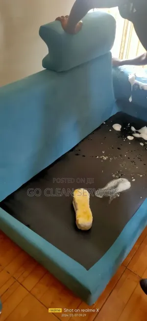 Sofa Cleaner Service