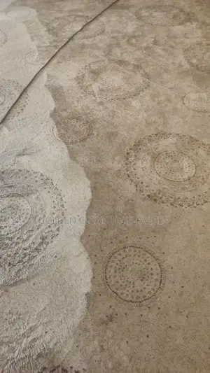 Carpet Clean
